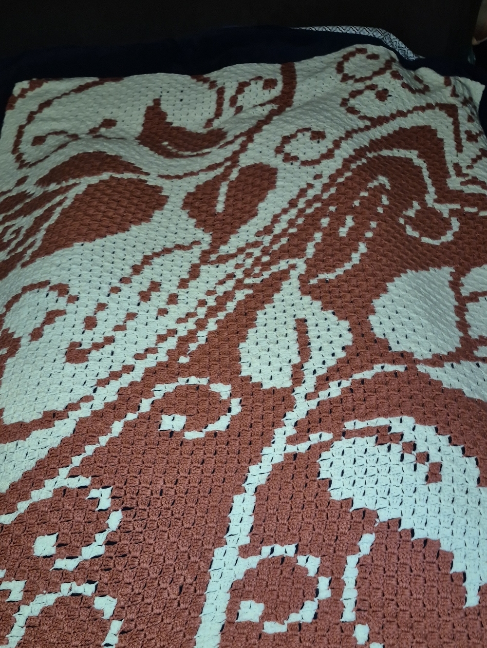 Hand Crocheted? Corner To Corner To Corner Blanket..approx 62x73"